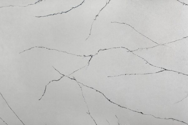 PANMINQUARTZ- PMC1265- 6012- partial