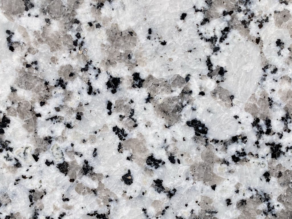 Fancy New White Flower Granite Stone Slabs and Countertops