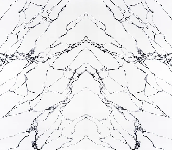 Bookmatched Calacatta 6022