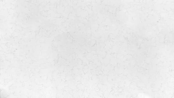 Stone Surfaces PMC2547-Partial